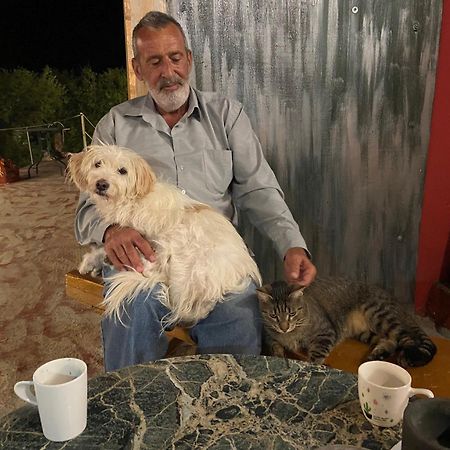 Art Studio Kefalonia Dhavgáta 외부 사진